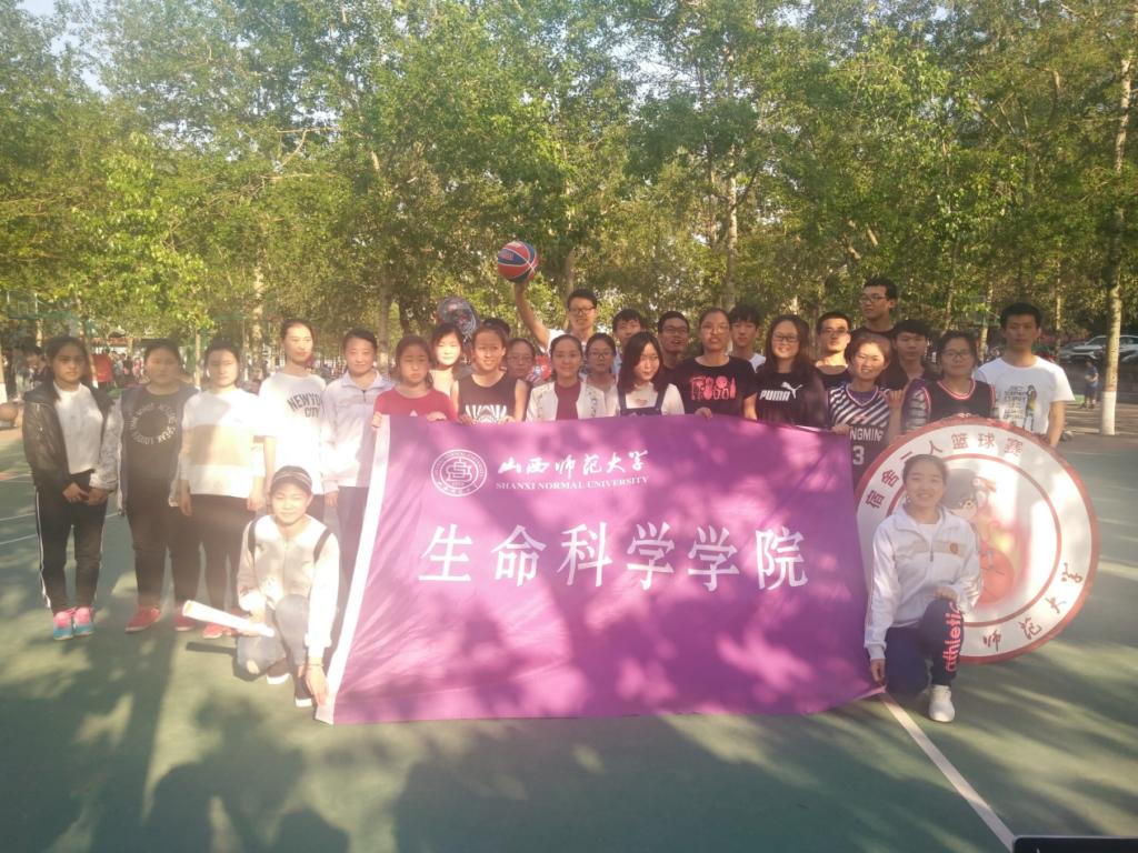 合影
